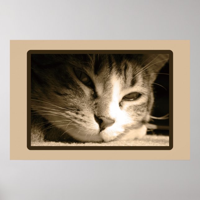 Vermisst Poster (Vorne)