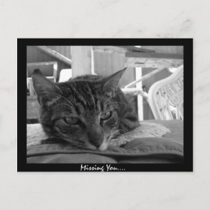 Vermisst Postkarte