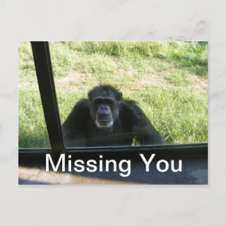 Vermisst Postkarte