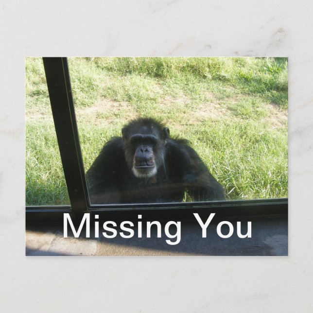 Vermisst Postkarte (Vorderseite)