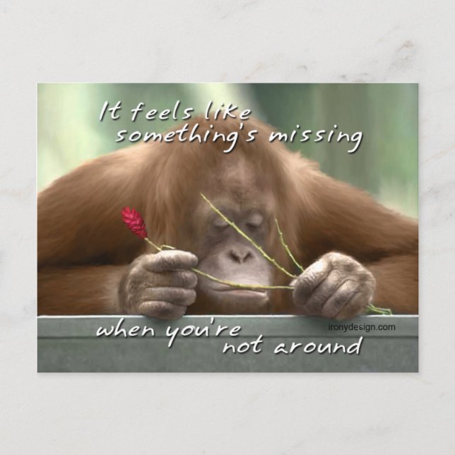 Vermisst Postkarte (Vorderseite)