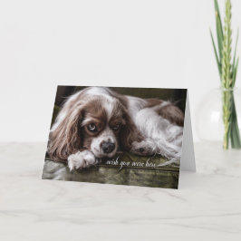 Vermisst Sie Cocker Spaniel Hund traurig aussehen Karte