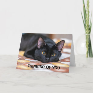 *VERMISST SIE/DENKEN AUCH SIE* KARTE