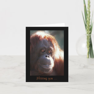 Vermisst Sie ... Karte