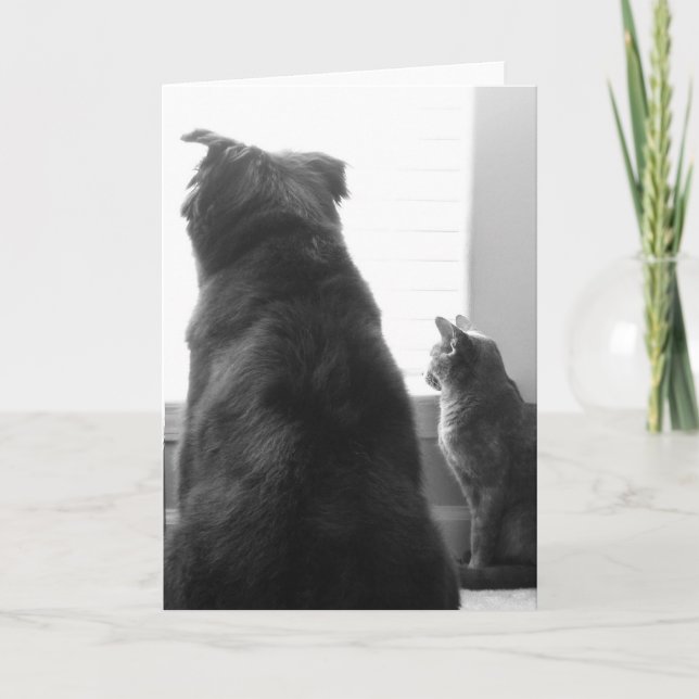 Vermisst Sie Karte (Vorderseite)