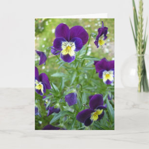 Vermisst Sie… Karte