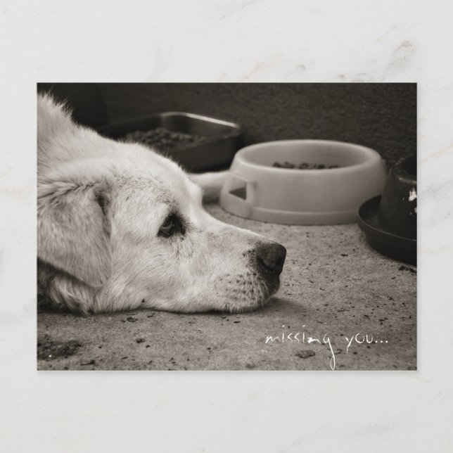 Vermisst Sie - Postkarte (Vorderseite)