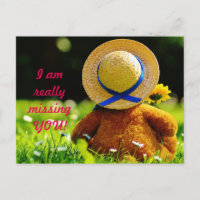 Vermisst Sie schreiben