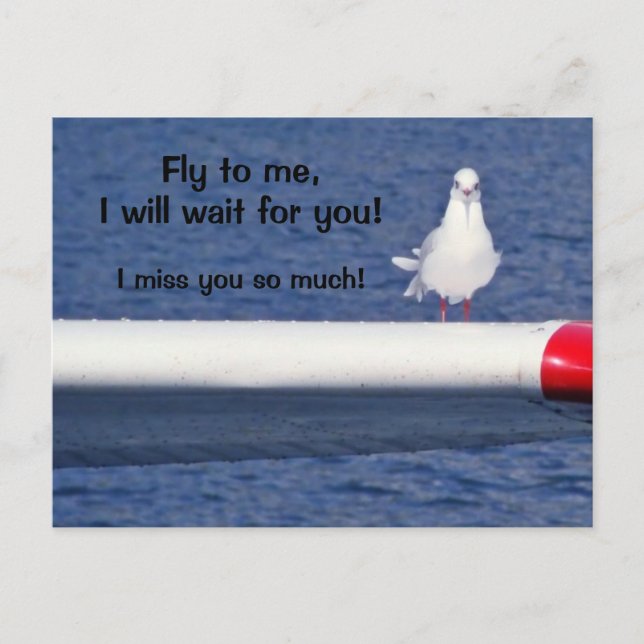 Vermisst Sie - Seagull Postcard Postkarte (Vorderseite)