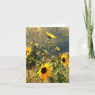 Vermisst Sie texturierte Sonnenblumen Monsun Wolke Karte
