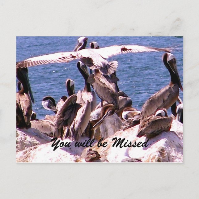 Vermisst Sie/Vielen Dank_ Postkarte (Vorderseite)