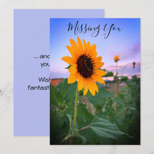 Vermisst Sonnenblumen im Foto nach Maß Karte