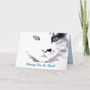 Vermisst You Blue Mit Augen Cat
