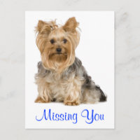 Vermisst You Yorkshire Terrier Puppy Dockcard