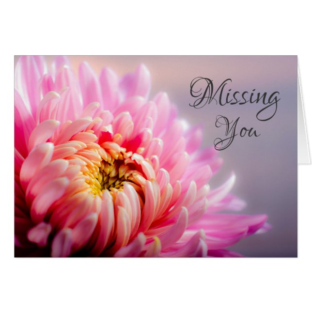 Vermisste Chrysanthemum Macro Foto Note Card (Vorderseite (Horizontal))