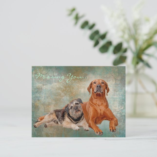 Vermisste Hunde Postkarte (Stehend Vorderseite)