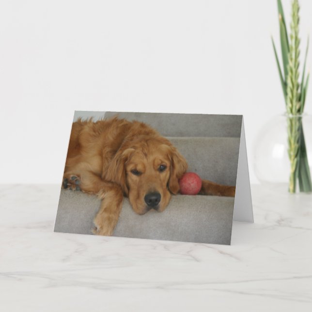 Vermisste Karte! Karte (Vorderseite)