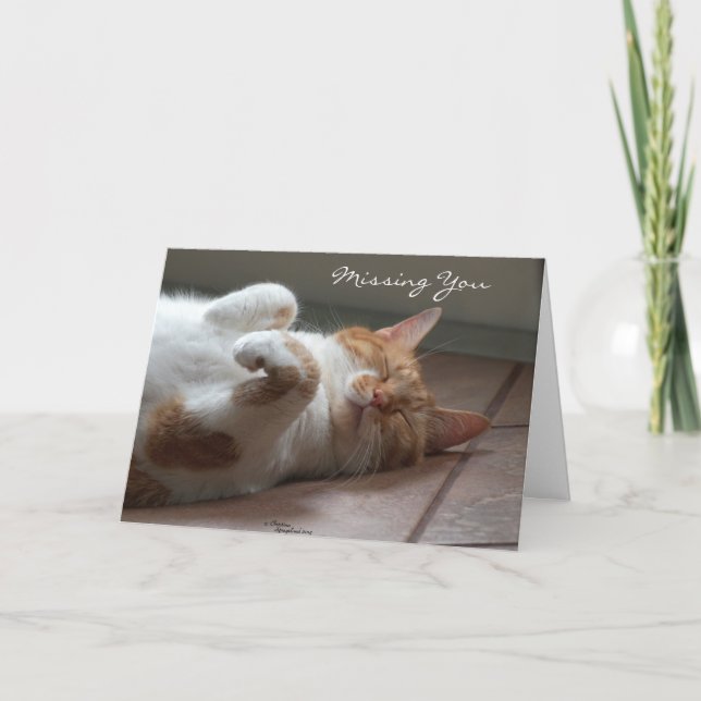 Vermisste Niedliche Katze Karte (Vorderseite)