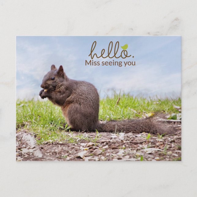 Vermisste Postkarte (Vorderseite)