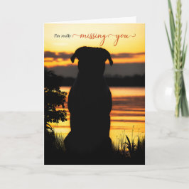 Vermisste Sie Hunde Silhouette am Sunset Lake Karte