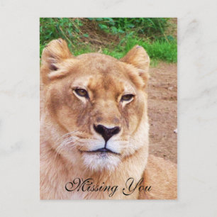 Vermisste Sie_ Postkarte