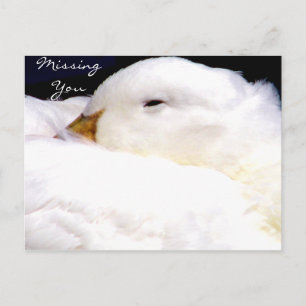 Vermisste Sie_ Postkarte