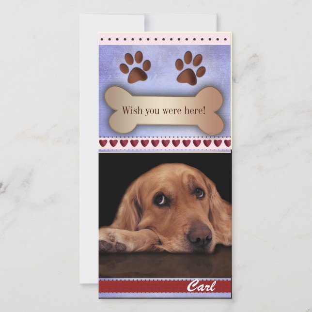 Vermisste Vorlage für Hunde (Vorderseite)