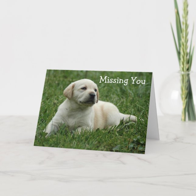 Vermisste Yellow Labrador Retriever Puppy Card Karte (Vorderseite)