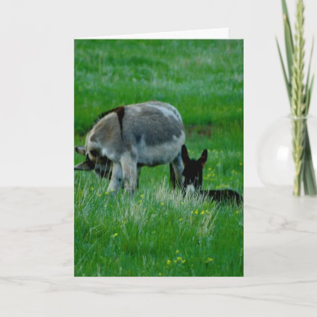 Vermisste You Nature-Szene Karte (Vorderseite)