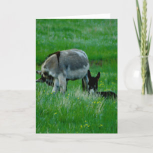 Vermisste You Nature-Szene-Karte Karte