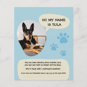 Vermisster Hund Modern Blau Fotoplakat  Flyer
