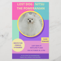 Vermisster Hund Moderner Farbiger Fotoplakat