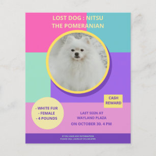 Vermisster Hund Moderner Farbiger Fotoplakat Flyer