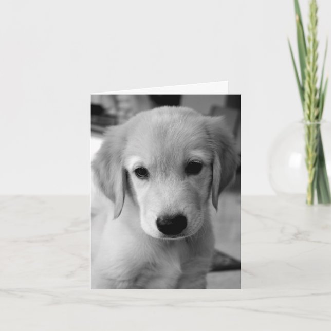 Vermisster Puppy Karte (Vorderseite)