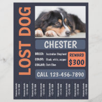 Vermisstes Bonusposter für verlorene Hunde