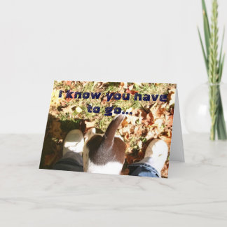 Vermisstes Ihr aber (t)! Karte