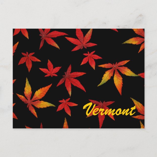 Vermont Autumn Leaves Postcard Postkarte (Vorderseite)