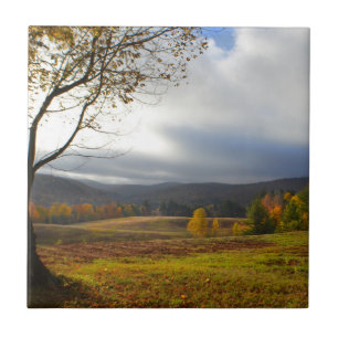 Vermont Cloudy Fall Day Tile Fliese