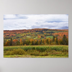 Vermont Corn Field im Herbst Poster