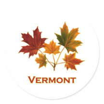 Vermont Fall Foliage - Ahorn-Blätter
