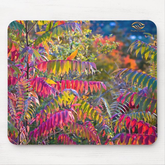 Vermont Foliage Mousepad (Vorne)