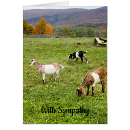 Vermont Goats Sympathy Card