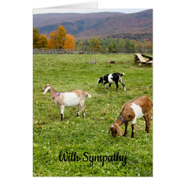 Vermont Goats Sympathy Card (Vorne)