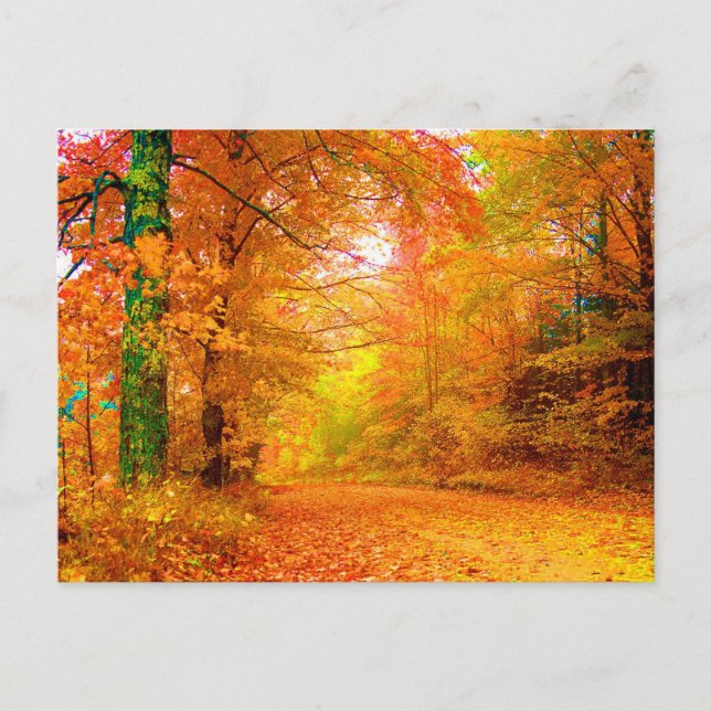 Vermont-Herbst-Geldstrafe-Natur-Landschaft Postkarte (Vorderseite)