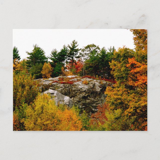 Vermont Herbst Postkarte (Vorderseite)