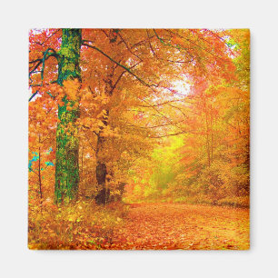 Vermont Herbstlandschaft Magnet