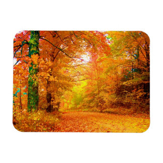Vermont Herbstlandschaft Magnet