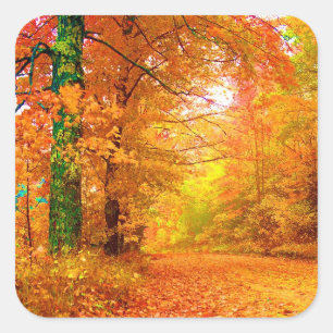 Vermont Herbstlandschaft Quadratischer Aufkleber