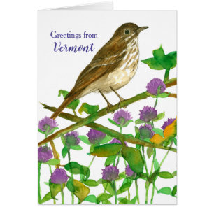 Vermont Hermit Thrush Clover Hello Friend