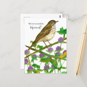 Vermont Hermit Thrush Clover Postkarte